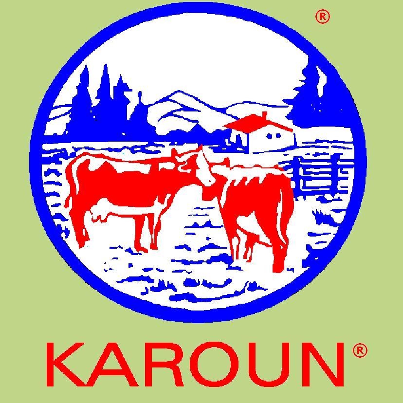 Real Karoun Logo